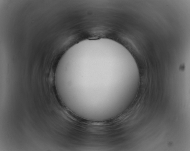 X0000102250081200807250911