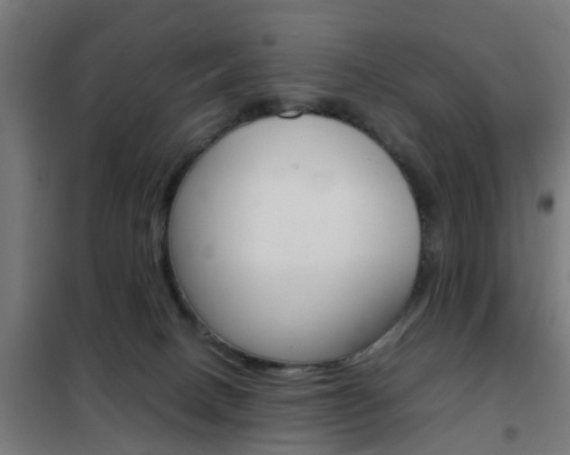 X0000102250082200807250911