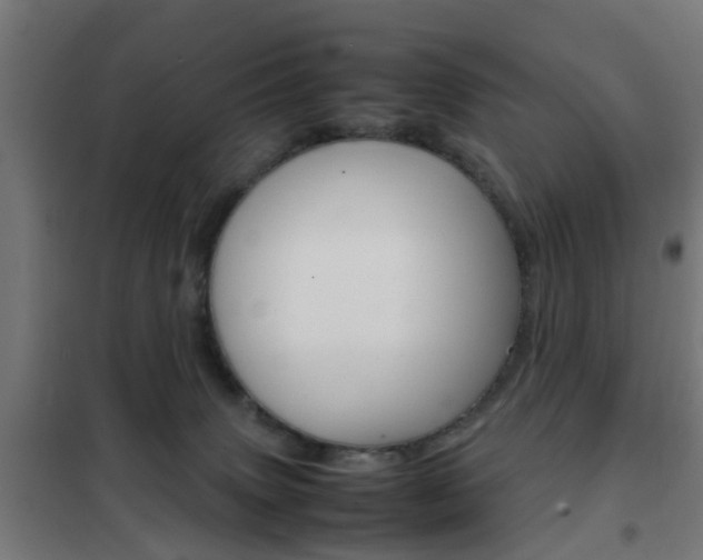 X0000102250083200807250911