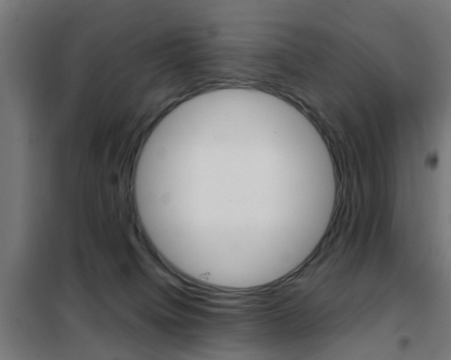 X0000102250084200807250911
