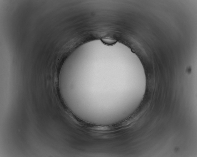 X0000102250085200807250911