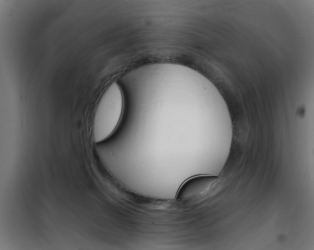 X0000102250086200807250911