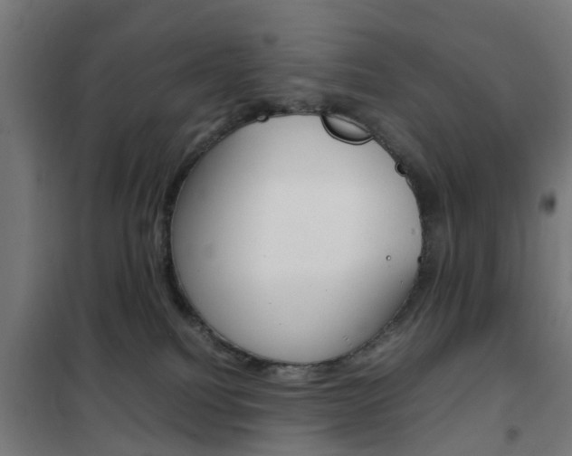 X0000102250088200807250911