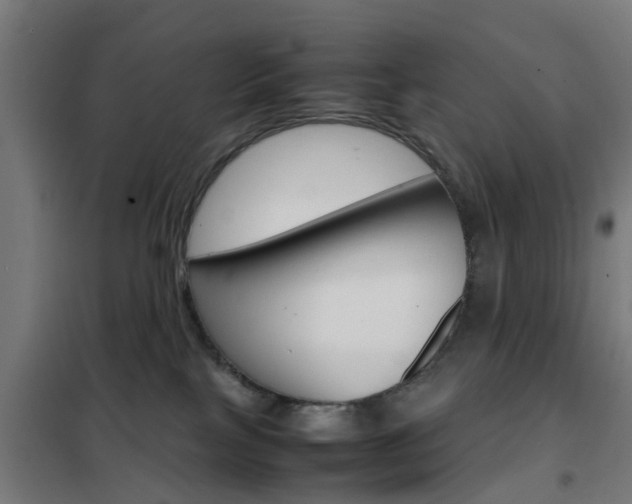 X0000102250089200807250911
