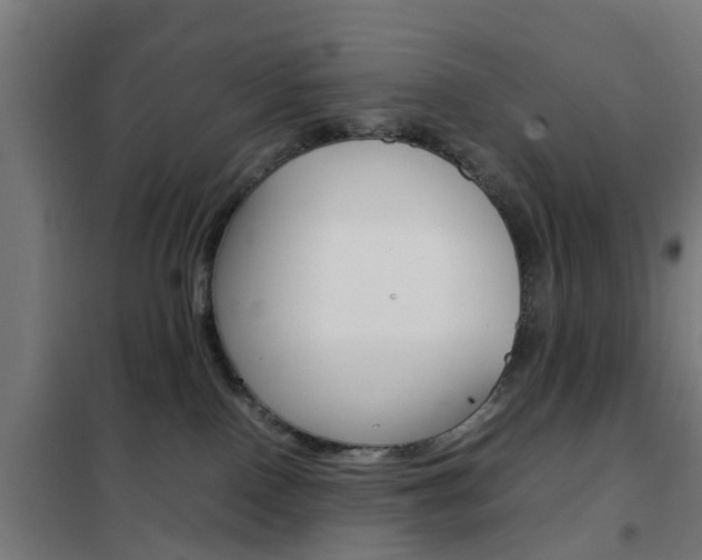 X0000102250090200807250911