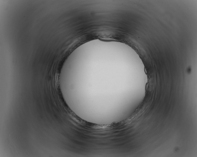 X0000102250093200807250911