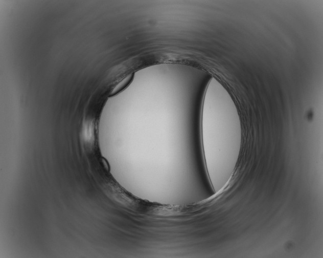 X0000102250094200807250911