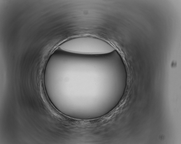 X0000102250097200807250910
