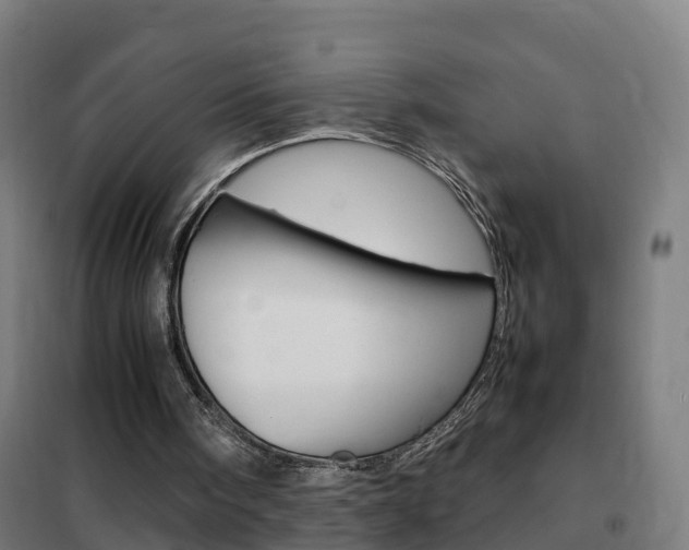 X0000102250098200807250910