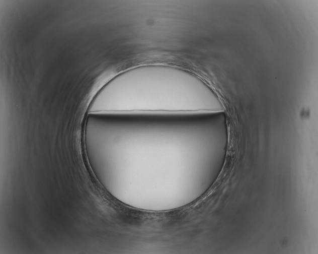 X0000102250099200807250910