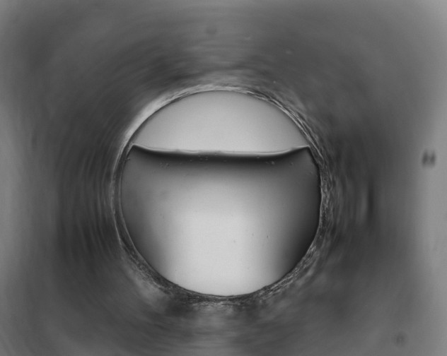 X0000102250100200807250910