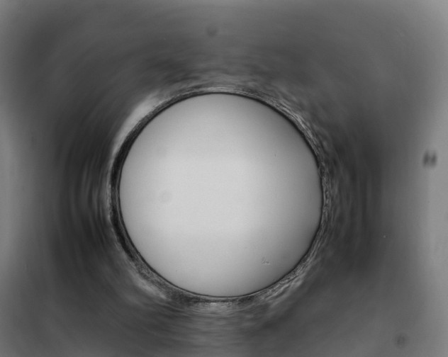 X0000102250102200807250910
