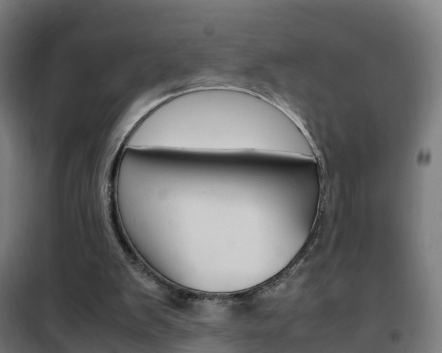 X0000102250103200807250910