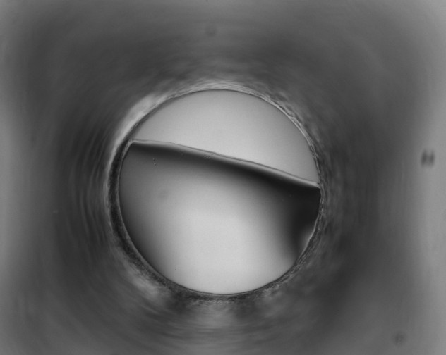 X0000102250104200807250910