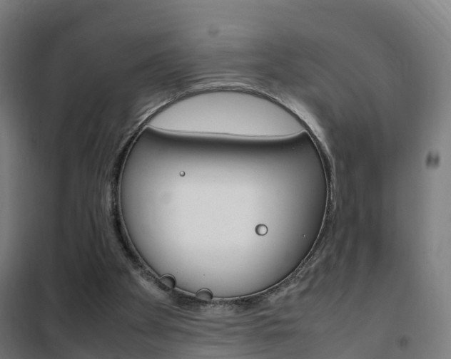 X0000102250105200807250910