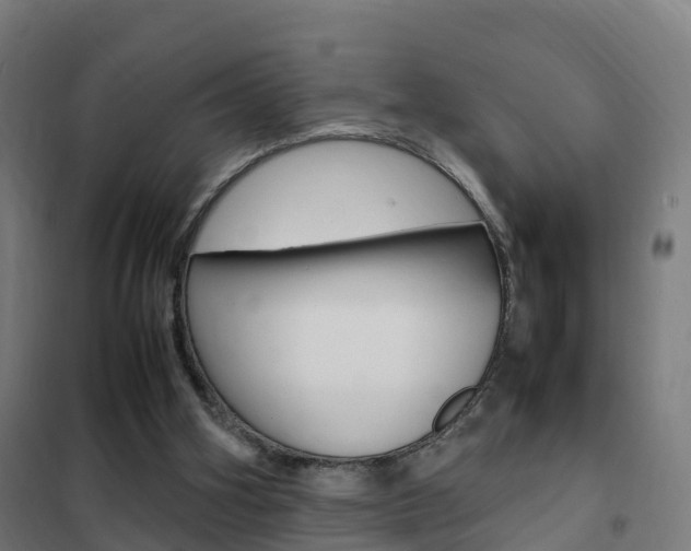 X0000102250106200807250910
