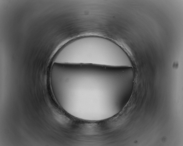 X0000102250108200807250910