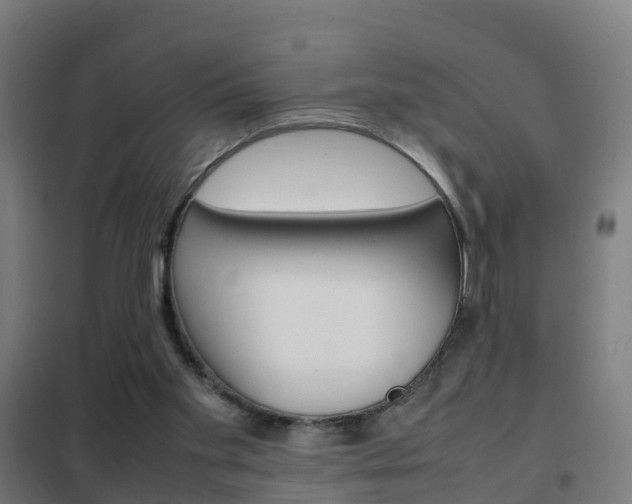 X0000102250109200807250910