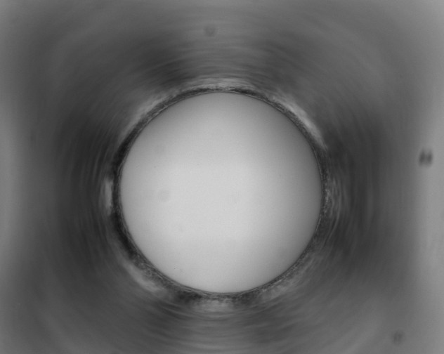 X0000102250110200807250910