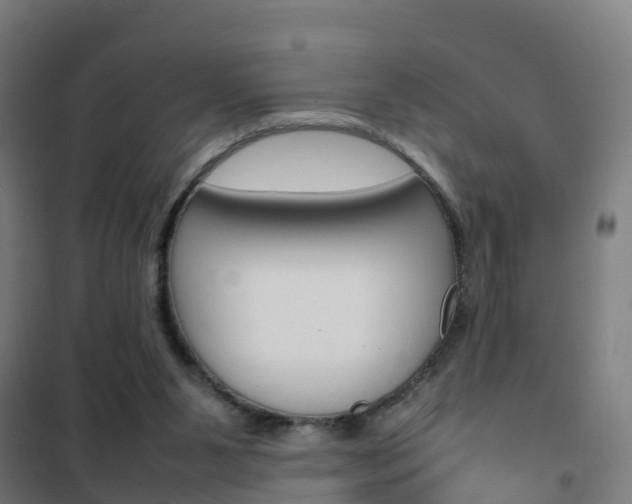 X0000102250111200807250910