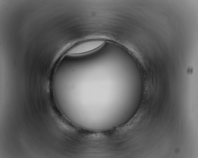 X0000102250112200807250910