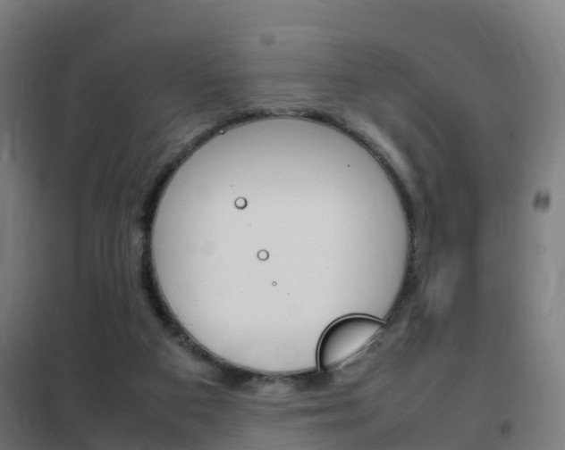 X0000102250113200807250910