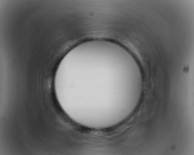 X0000102250115200807250910