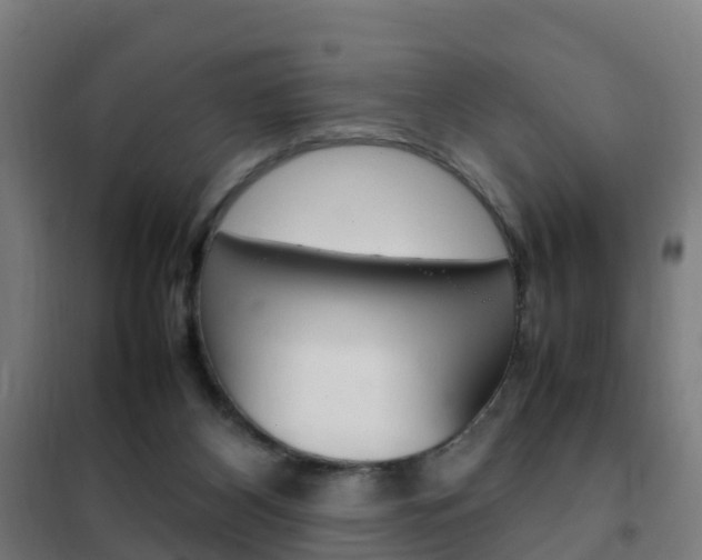 X0000102250116200807250910