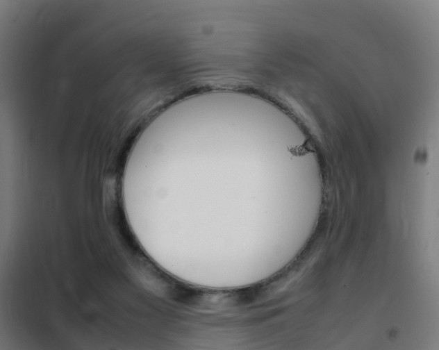 X0000102250117200807250910