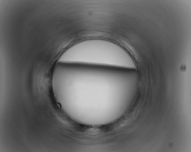 X0000102250119200807250910