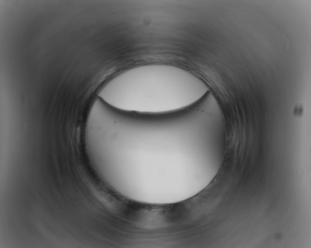 X0000102250120200807250910