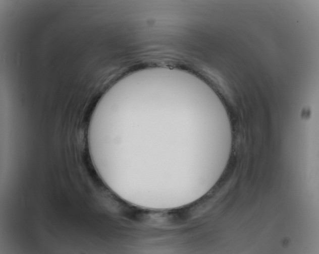 X0000102250121200807250910