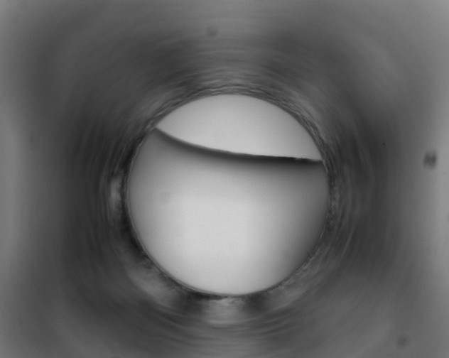 X0000102250122200807250910