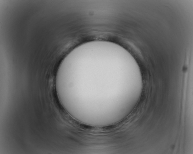 X0000102250123200807250910