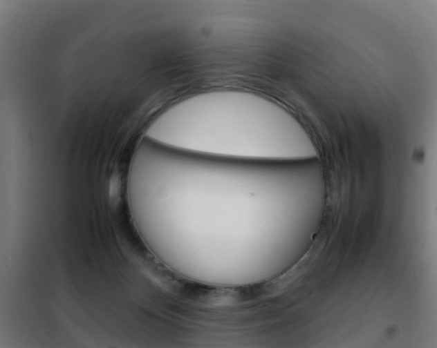 X0000102250124200807250910