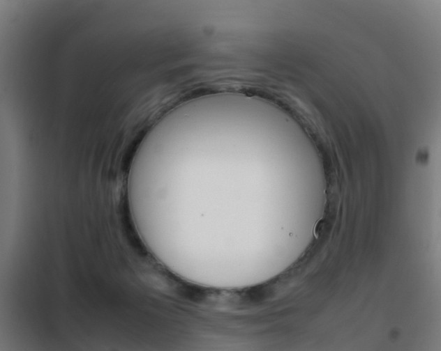 X0000102250125200807250910