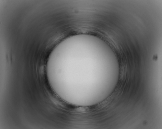 X0000102250126200807250910