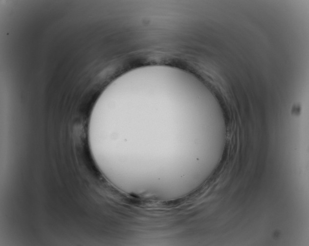 X0000102250127200807250910