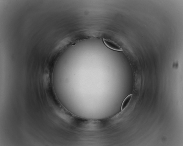 X0000102250128200807250910
