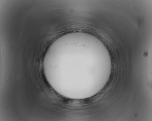 X0000102250129200807250910