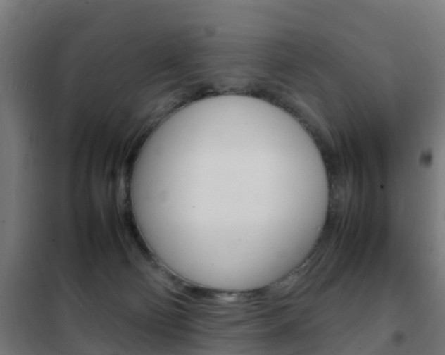 X0000102250130200807250910