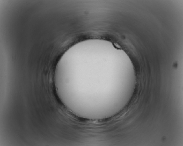 X0000102250131200807250910