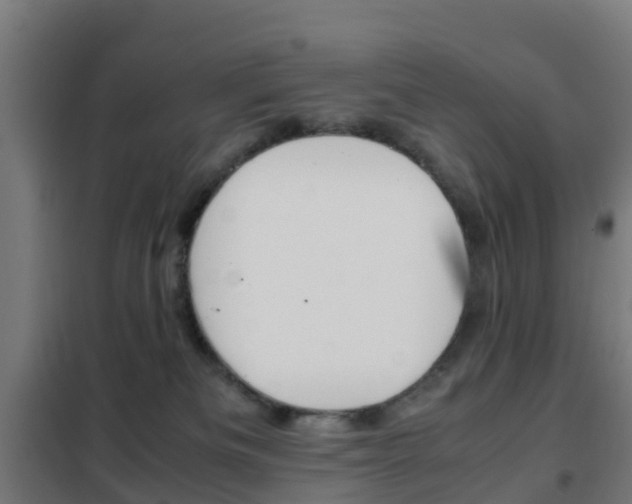 X0000102250133200807250910