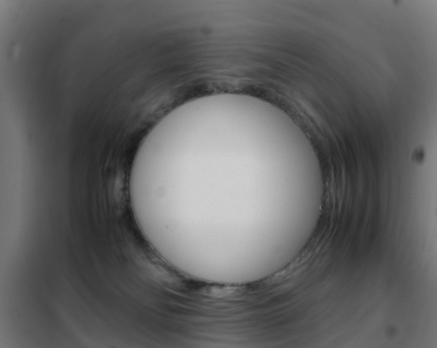 X0000102250134200807250910