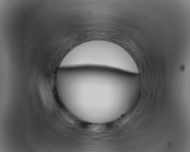 X0000102250135200807250910