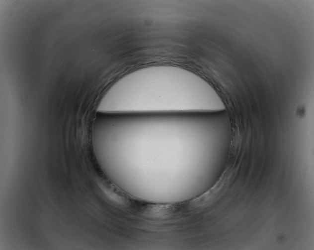 X0000102250136200807250910