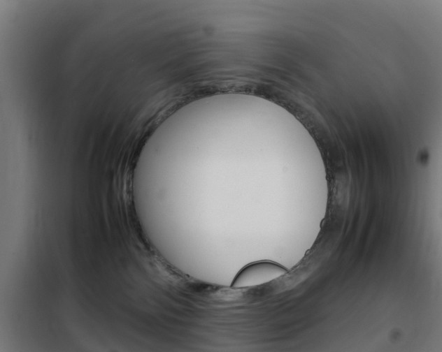 X0000102250138200807250910