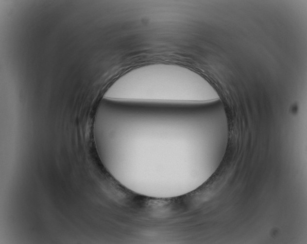 X0000102250139200807250910