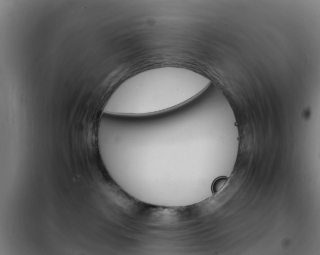 X0000102250140200807250910