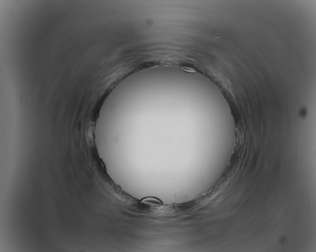 X0000102250141200807250909
